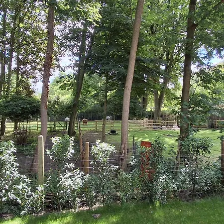 Prive In Groene Omgeving Gratis Fietsen & Parkeerplaats Gasthuis