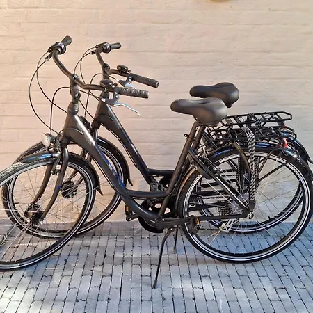 Prive In Groene Omgeving Gratis Fietsen & Parkeerplaats Gasthuis *